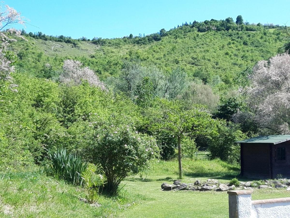 Il Baiocchino Bed & Breakfast คาสเทลซานเปียโตรแตร์เม ภายนอก รูปภาพ